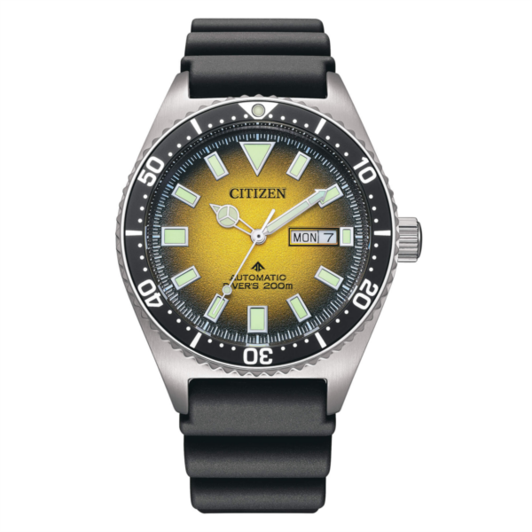 ny0120-01x-citizen-art101884-e36p63.png